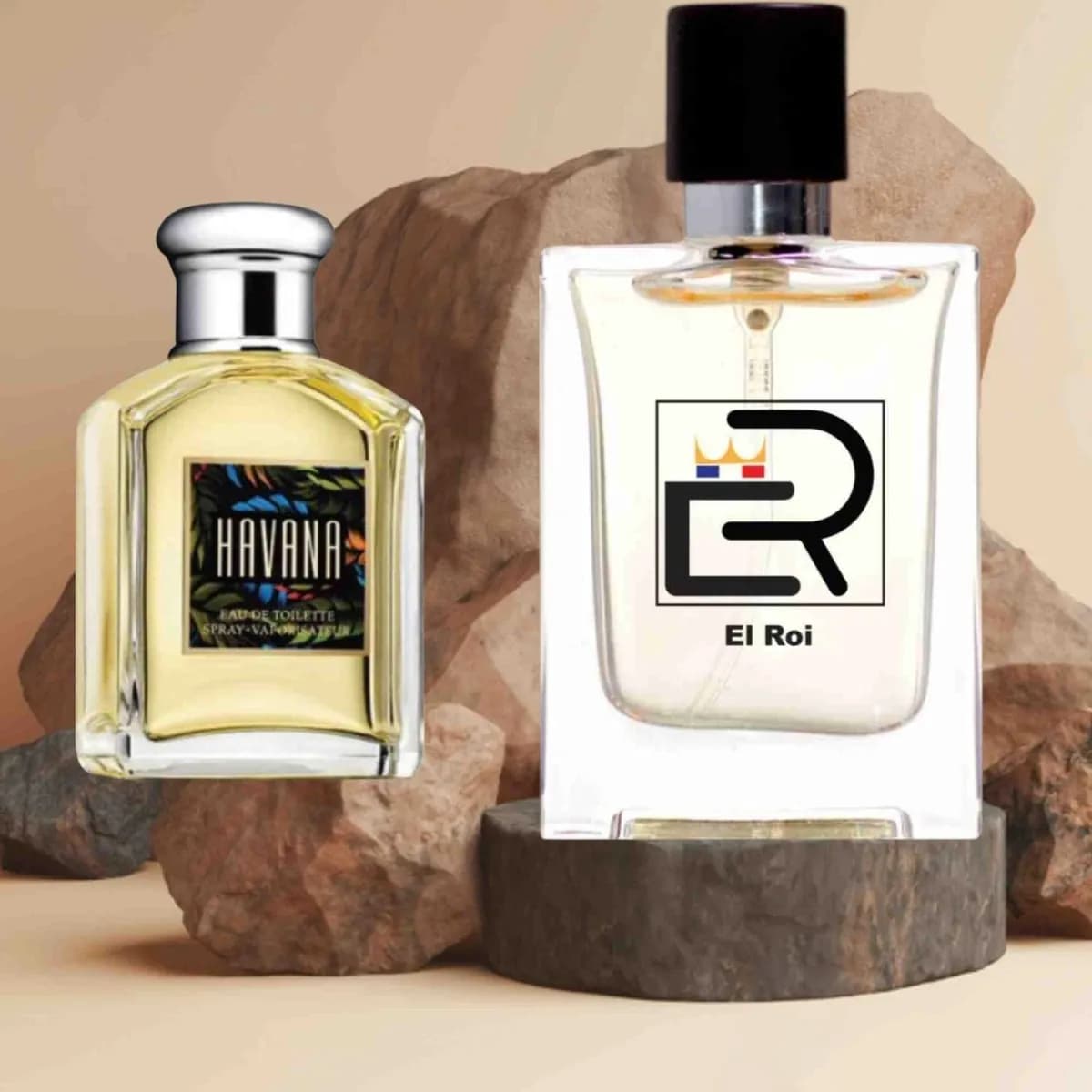 ER01 Inspired by Aramis Havana